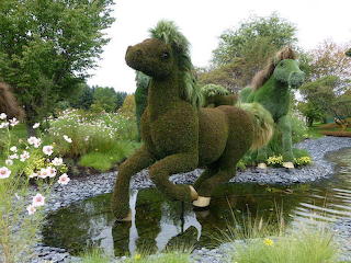 Horses in the garden