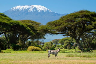 Amboseli National Park's View of Mt. Kilimanjaro, Kenya