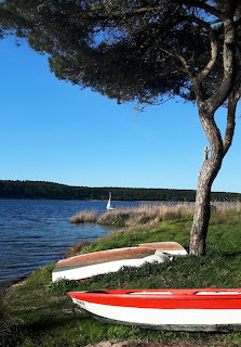 Lagoa Albufeira