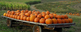 Pumpkin-trailer-big