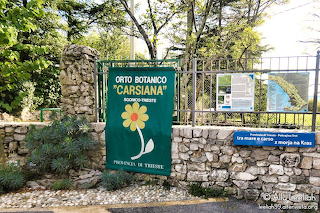 Carsiana-giardino-botanico