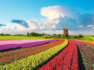 Spring