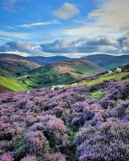 Scotland!