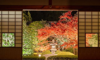 Evening Garden View