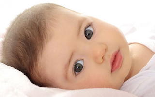 Bebe