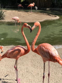 Flamigo Heart