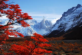 Cerro Torre in autumn leaves