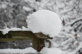 snow ball