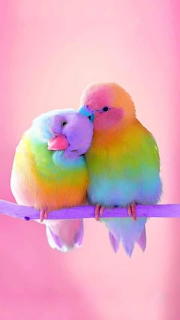 Birds