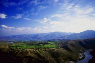 P0300553