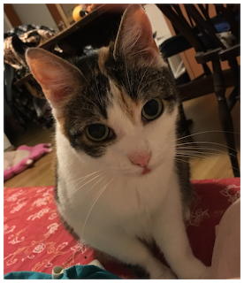 Serafina