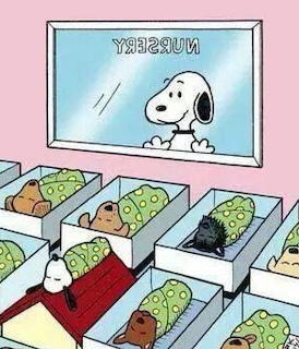 Snoopy's Son