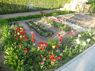 Mein Garten im April