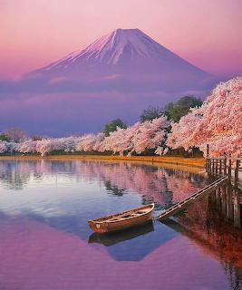 + Awesome Colors