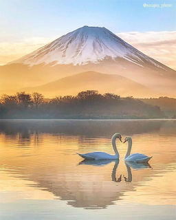 Tranquil