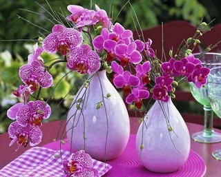 Flores11
