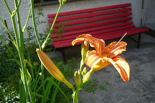 orange