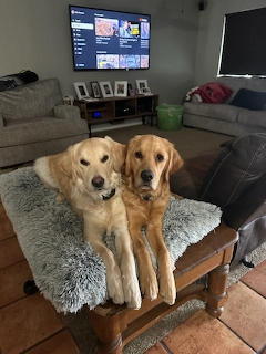 Mav and Goose
