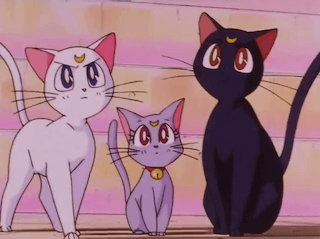 Luna and fam