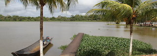 Vista desde Delta del Orinoco, Venezuela