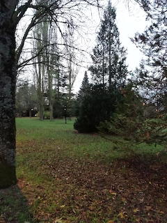 Parque en invierno