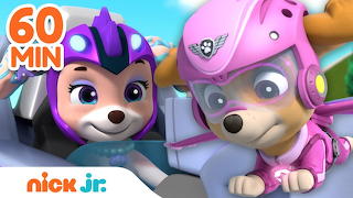 Paw patrol 3