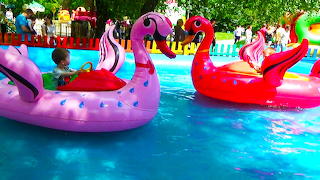 Summer fun