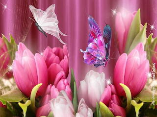 Butterflies and flowers
