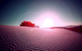 desert