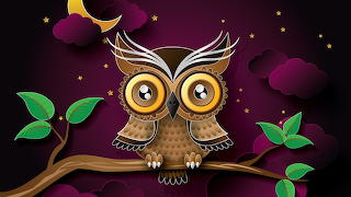 Owl In The Night