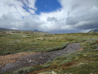 Dovrefjell, Trøndelag, Norway