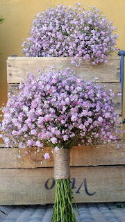 Flores violetas