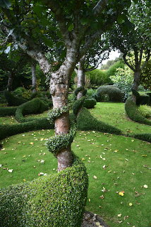 Nature 5