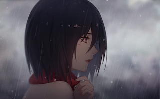 Mikasa