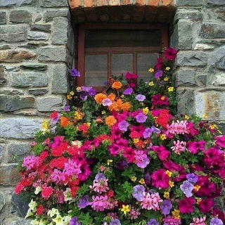 Wall