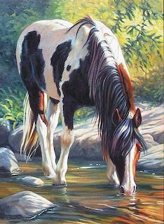 animales