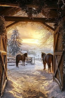 Horses in the Winter
