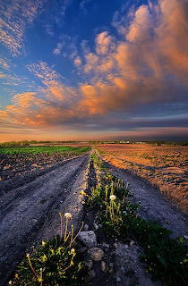 My Way - Horizons - Photography by Phil Koch
