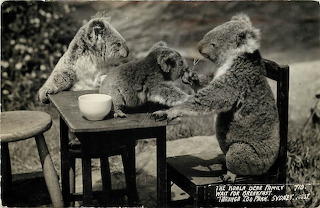 Cute old postcard by Aussie~mobs
