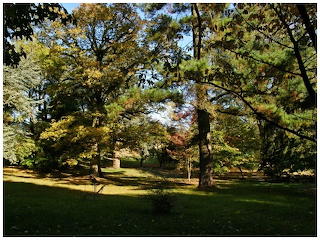 Arboretum5