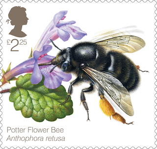 Potter Flower Bee