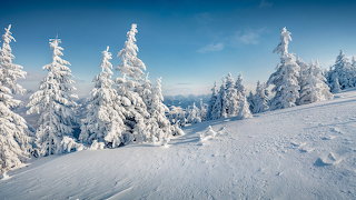 Blizzard