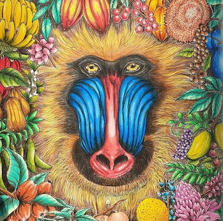 kerby rosanes 7